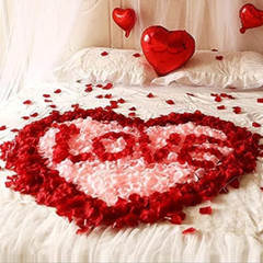 3000 pétalos de rosa roja, pétalos de rosa de flores de seda artificiales