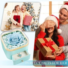 Beferr Gifts for Mom Preserved Real Rose with Necklace Eternal Light Blue