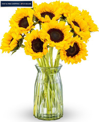Benchmark Bouquets – Sunflowers – Fresh Flowers for Delivery – Mothers Yellow