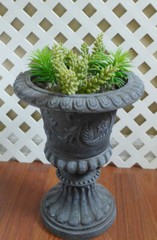 Set of 5 Artificial Grass Mini Pine Tree And Yacon Succulents Plants