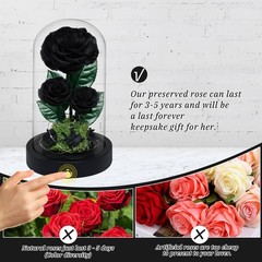 3 Preserved Flowers Roses in Glass Dome for Beauty and The Black