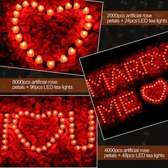 2000pcs Red Artificial Rose Petals with 24pcs Red LED Tea Lights Kit
