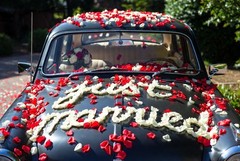 1000 Wedding Silk Rose Petals-Sunflower, Petals & Garlands, Rose Petals