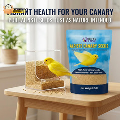 Alpiste 100% Non-Gmo Double Cleaned Canary Seed 5Lbs | Canary and Fi