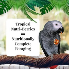 LAFEBER’S Tropical Fruit Nutri-Berries Pet Bird Food for Parrots, 14 lb