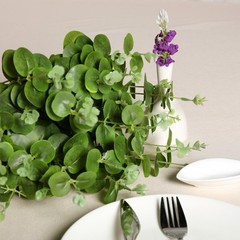 2 pcs 19″ tall Light Green Eucalyptus Artificial Greenery Bushes Wedding Party