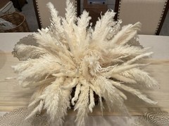 Pampas Grass Center Piece/wall Decor