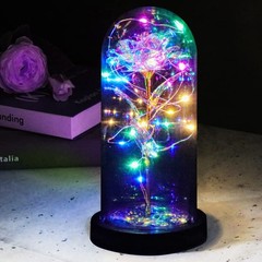 FGSS Eternal-Rose-Flowers-Gift Galaxy-Glass Rose-Flower-Light-Gifts Rainbow
