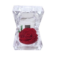 DoraMagic Preserved Rose Real Forever in Mini Clear Ring Box, Red