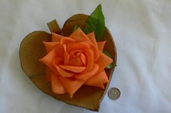 ORANGE 14cm Across with Leaves & Stem TROPICAL BRIGHT Selection Fabric ROSE HU