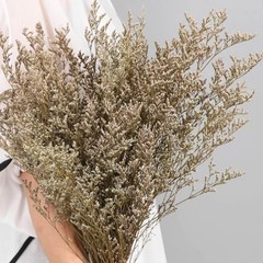 Dried Flowers Bouquet, Dry Caspia Flower Bundle, Floral Lavender, Babys Natural