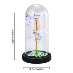 FGSS Eternal-Rose-Flowers-Gift Galaxy-Glass Rose-Flower-Light-Gifts Rainbow