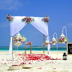 Artificial Petals 1000 PCS Dark-Red Silk Rose Petals for Romantic Night,Wedding,