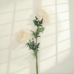 IVORY 3 Stems 27″ Silk Artificial Chrysanthemum FLOWERS Party Decorations