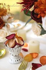 Lookein 300pcs Terracotta Rose Petals Satin Flower Petals for Wedding Flower …