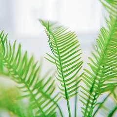 2 Green 19″ Faux Fern Artificial Leaves Greenery Stems Party Home Supplies