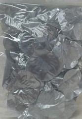Silver Rose Petals
