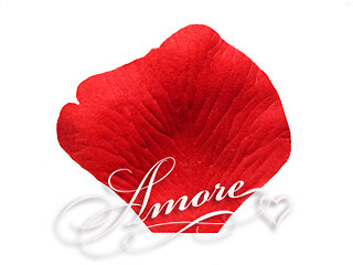 1000 Wedding Silk Rose Petals Ruby Red, Petals & Garlands, Rose Petals