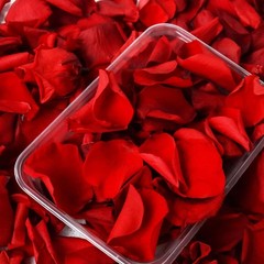 Dried Real White Rose Petals 2.1oz Freeze Preserved Flower Petals Valentine’s