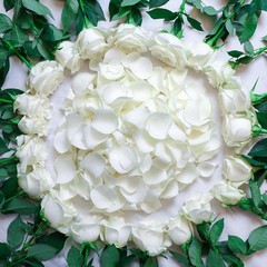 Dried Real White Rose Petals Freeze Preserved Flower Petals 1.75oz Valentine’s