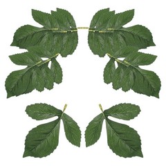 Dahlia Fake Leaves 50 Pcs Artificial Plants Greenery Decorations