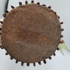 Artificial 13″ Wood Bouquet Floral / Wedding Decor w/ Ribbon
