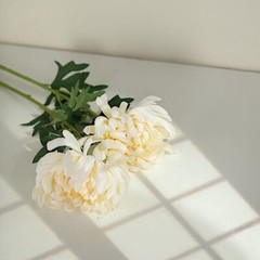 IVORY 3 Stems 27″ Silk Artificial Chrysanthemum FLOWERS Party Decorations
