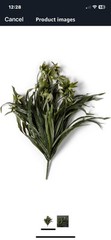 1 Pcs Artificial Plants Spider Hanging Chlorophytum Grass Vine.