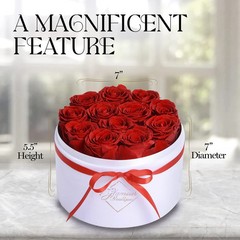 GLAMOUR BOUTIQUE Flowers Forever Gift Box, 12 Real Preserved Roses in 12, Red