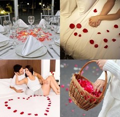 2000 Rose Petals Artificial Flower Petals Fake Silk Gradient Blue Wedding Romant