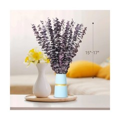 20 Pcs Dried Eucalyptus Stems, 17” Natural Real Live Purple Eucalyptus Leave…