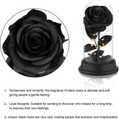Deluxsa Forever Preserved Black Rose Birthday Gifts for Women,Eternal Flower
