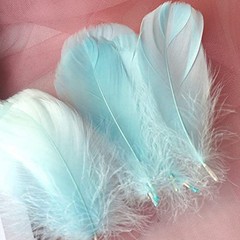 100Pcs Lake Blue Natural Goose Feathers, 3-5Inch 100pcs Lake Water Blue
