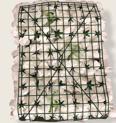 flower wall panel 24×16 decoration whiterose New)