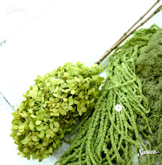 Preserved Amaranthus Olive Green Home Wedding Dried Flower Festive Floral Decor