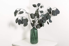 Eucalyptus Populus Dried & Fresh Wedding Home Décor Arrangement Party Baby Blue
