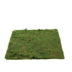 18×16-Inch Green Natural Preserved Moss Sheet Party DIY Crafts Supplies Event