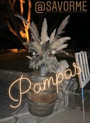 12 Large Pampas Grass (36”) Wedding Decor CA, USA BEAUTIFUL!