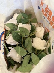 Flowers Of All Kinda