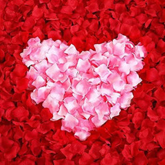 3000 pétalos de rosa roja, pétalos de rosa de flores de seda artificiales