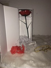 NEW Rose of Love Hand Forged Iron Red Rose Anniversary Wedding Valentines Day