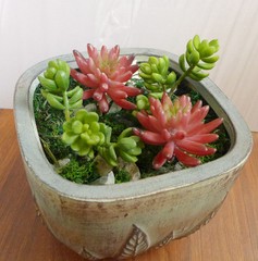 4 Artificial Succulents Plants Yacon And Red Finger Lotus Grass