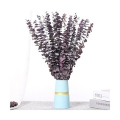 20 Pcs Dried Eucalyptus Stems, 17” Natural Real Live Purple Eucalyptus Leave…