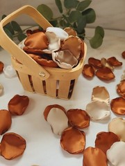 100 Terracotta Rose Petals Boho Neutral Beige Flower Petals Fall Wedding Decor