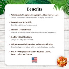 LAFEBER’S Tropical Fruit Nutri-Berries Pet Bird Food for Parrots, 14 lb