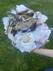 Wedding Bouquet Unique Bridal bouquet W/Birds Nest 🪺 Roses, Satin