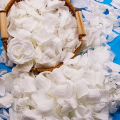 Dried Real White Rose Petals Freeze Preserved Flower Petals 1.75oz Valentine’s