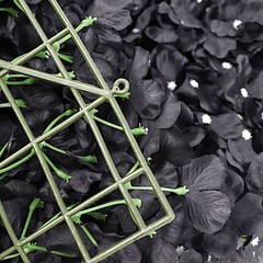 4 Black Hydrangea Flowers Mat Wall Backdrop Panels Wedding Party Decorations