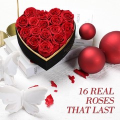 Casaido Preserved Roses Flowers for Delivery 16 Pcs, 16 Roses, Red