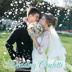 Real Ivory Rose Petals – Preserved Dried Flower Confetti for Weddings & Parties,